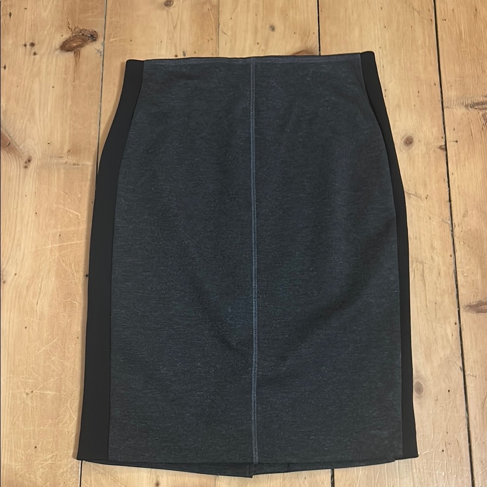 Iris Setlakwe Pencil Skirt